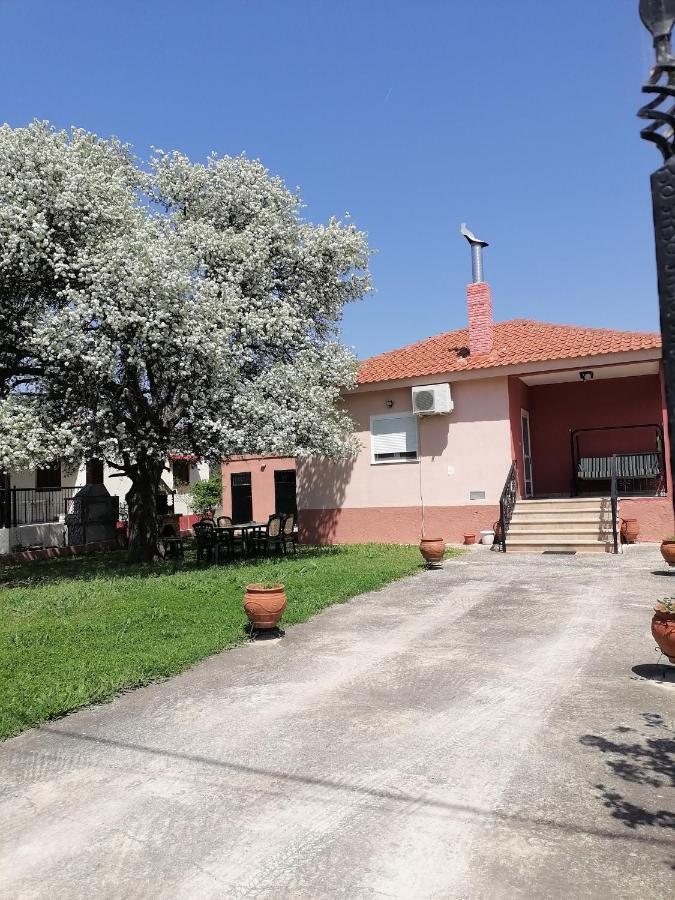 Αξέχαστη Διαμονή - Unforgettable Accommodation Nea Kallikrateia Экстерьер фото
