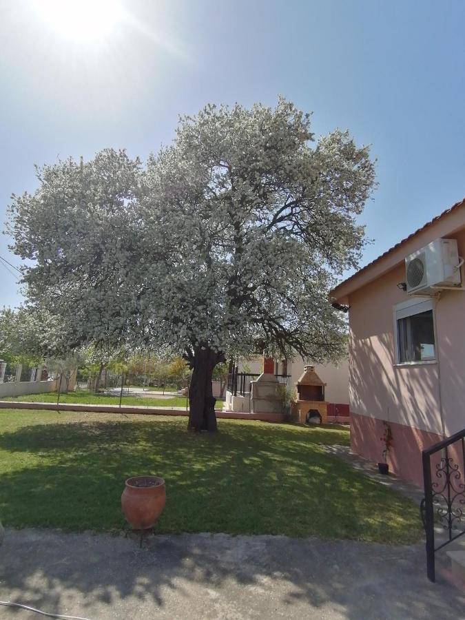 Αξέχαστη Διαμονή - Unforgettable Accommodation Nea Kallikrateia Экстерьер фото