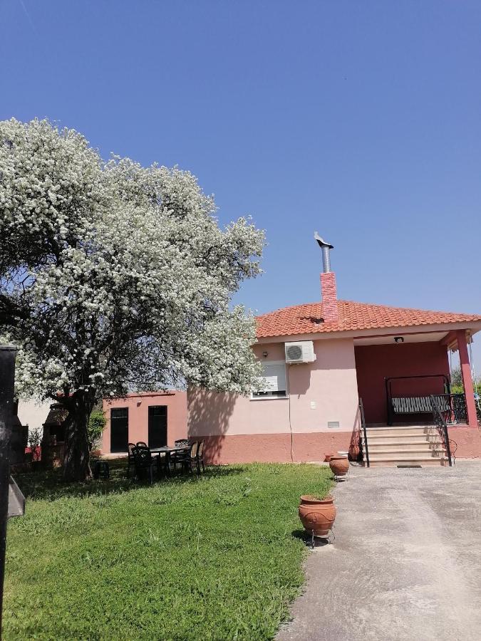 Αξέχαστη Διαμονή - Unforgettable Accommodation Nea Kallikrateia Экстерьер фото